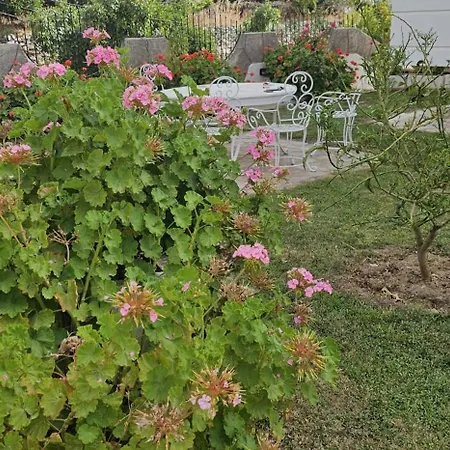 Yildiz *